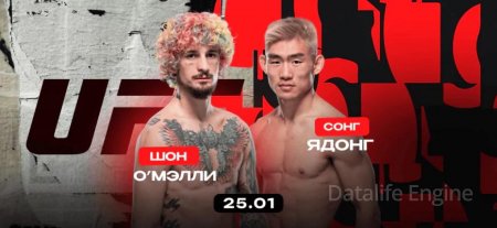 Шон О'Меллі проти Сон Ядонга